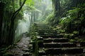 stone stairs in the rainforest in costa rica Royalty Free Stock Photo