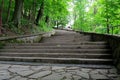 Stone staircase in the spring forest park Royalty Free Stock Photo