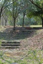 Stone stairs in spring