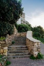 Stone stairs in st pauls bay with tree