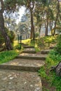 Stone stairs surrounded by huge green tree and grass at a public park in spring time, Buyukada Island Princes island, Istanbul Royalty Free Stock Photo