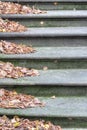 Stone stairs with wind-blown autumn leaves