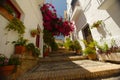 Stone stairway adorned with decorative plants and flower bushes in Salobrena, Granada