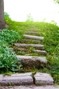 Stone stairway grass