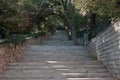 Stone stairway between green trees