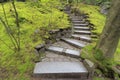 Stone Stairway Steps in Japanese Garden Royalty Free Stock Photo