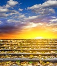 Stone stairway at the sunset