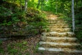 Stone Stairway Through The Woods