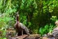 A stone statue in the form of a sacred animal peacock in India and Hinduism sitting on a stone with his head turned in the