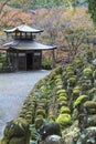 Stone statues of Buddha