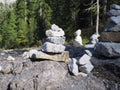 Staves on a rock in closeup