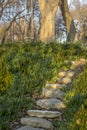 Stone steps in the park around greens