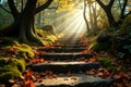 Stone steps in autumn forest with sunbeams Royalty Free Stock Photo