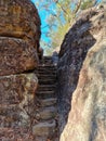 Stone Steps on the Bobbin Head Mangrove Boardwalk