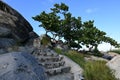 Stone Steps at the Casibari Rock Formation on Aruba Royalty Free Stock Photo