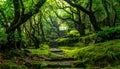 Stone steps ascend through a vibrant, mossy forest with a distant figure at the top green Royalty Free Stock Photo