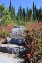 Stone steps in the countryside