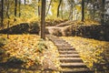 Stone steps fallen yellow leaves Royalty Free Stock Photo