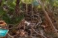 Stone steps fenced with a wooden wicker fence on the territory of the Botanical Garden in Eilat city, southern Israel