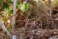 Stone steps fenced with a wooden wicker fence on the territory of the Botanical Garden in Eilat city, southern Israel