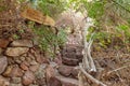 Stone steps fenced with a wooden wicker fence on the territory of the Botanical Garden in Eilat city, southern Israel