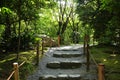 Stone steps in a garden Royalty Free Stock Photo