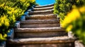 Stone steps garden path ascent sunny day Royalty Free Stock Photo