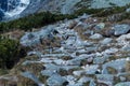 Stone steps among grass Royalty Free Stock Photo