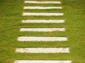 Stone steps on green grass Royalty Free Stock Photo