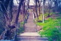 Stone steps and iron rails go up in the park. Royalty Free Stock Photo