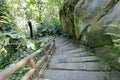 Stone steps in jungle, adobe rgb