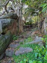 Stone steps into the Lawry Plunkett Reserve at Balmoral Beach Royalty Free Stock Photo