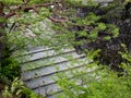 Stone steps leading to Kochi castle