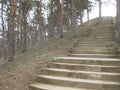 Stone steps Leading to a Pine hill in the resort Park Kislovodsk. Royalty Free Stock Photo