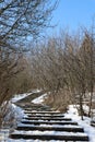 Stone steps leading to the sky, winter in the forest Royalty Free Stock Photo