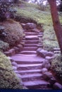 Stone steps leading up or down on slope of Japanese hill Royalty Free Stock Photo