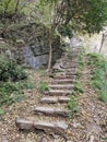 some very pretty stone steps by a tree in the woods