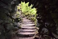 Stone steps leading upwards as seen through a secret exit in a stone grotto Royalty Free Stock Photo
