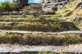 Stone steps lined with tufts of grass Royalty Free Stock Photo