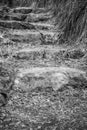 Stone steps in the middle of the park, black and white Royalty Free Stock Photo