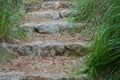 Stone steps in the middle of the park Royalty Free Stock Photo