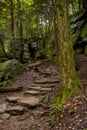 Stone Steps and Mossy Tree Trunk At The Ledges Royalty Free Stock Photo