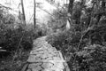 Stone steps on mountain road of qingyuanshan mountain, black and white image