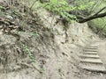 Stone steps near a gray earthen placer. Plants with green leaves.