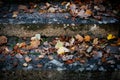 Stone steps with old foliage Royalty Free Stock Photo