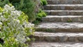 Stone steps in old park Royalty Free Stock Photo