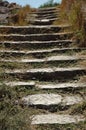 Stone steps overgrown with grass Royalty Free Stock Photo