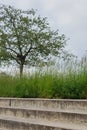 Stone steps at Park am Velodrom , Berlin