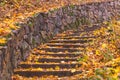 Stone steps strewn with yellow autumn leaves Royalty Free Stock Photo