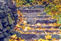 Stone steps strewn with yellow autumn leaves Royalty Free Stock Photo